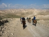 Judean desert