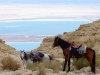 Dead Sea