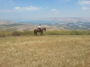 Lookout Sea of Galilee