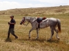 Yair and his Bedouin horse, K'helan